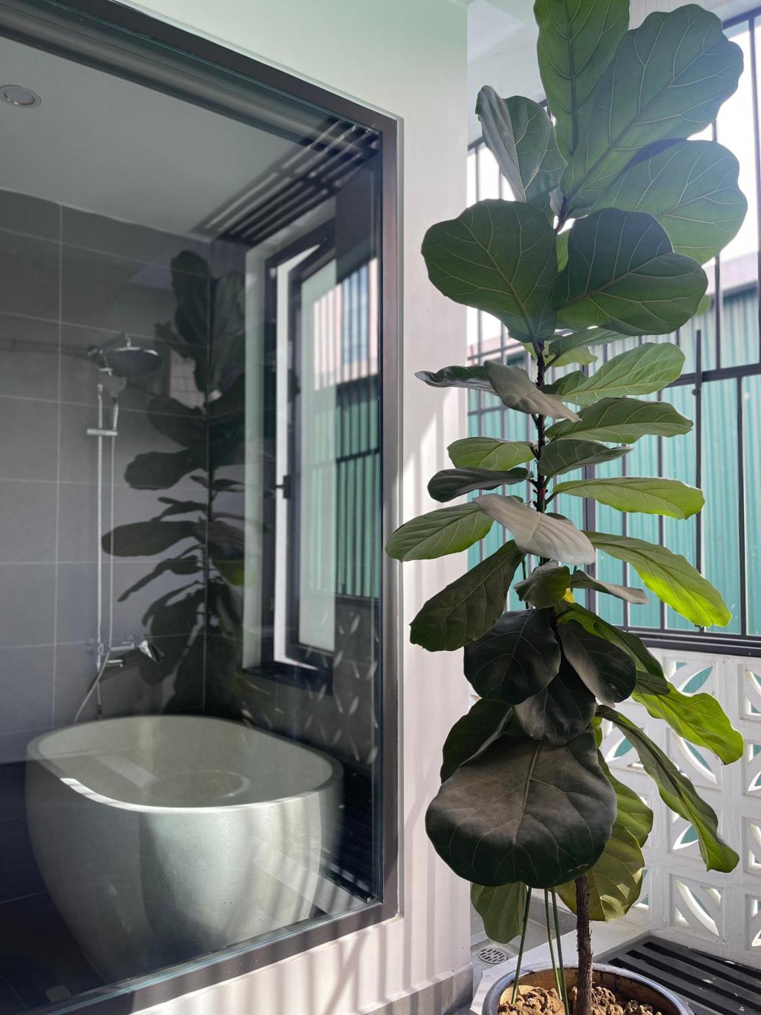 Alala Homestay- Tuyen Quang City Center- Trung Tam Thanh Pho Tuyen Quang Εξωτερικό φωτογραφία